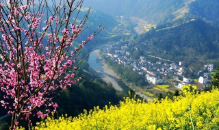 为什么说春季适合旅游（为什么说春季适合旅游的地方）