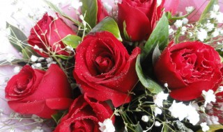 送十八朵花代表什么（送十八朵花代表什么含义）