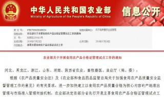 粮食水份测量仪哪家最好 什么粮食水份测定仪最好