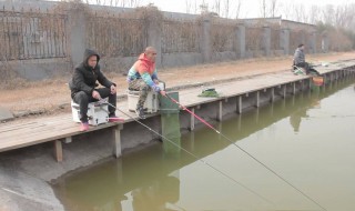 冬天到了桥筏怎么钓（冬天可以筏钓吗）