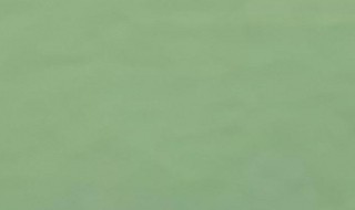 豆绿色搭配什么颜色 豆绿色搭配什么颜色围巾