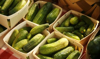 黄瓜的热量有多少 黄瓜的热量有多少大卡