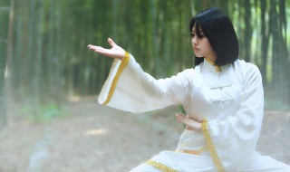 四正手和四隅手分别指哪些劲法? 四正手和四余手分别指哪些劲法