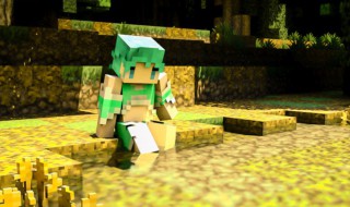 我的世界隐私设置在哪里 我的世界隐私设置在哪里找