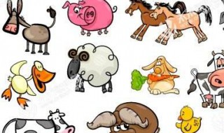 活体小动物指的是什么?（活体小动物指的是什么意思）