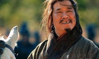 庞统简介(凤雏庞统简介)