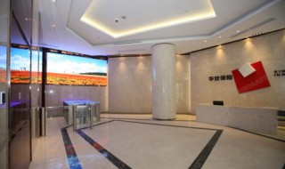 保险代理公司如何走账(保险代理公司如何走账务处理)