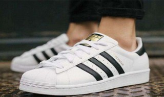 贝壳鞋鞋带系法（贝壳鞋鞋带系法视频）