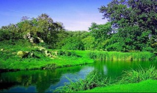 关于大自然的解说词（写一段关于大自然解说词）