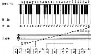 六线谱怎么看 六线谱怎么看速度