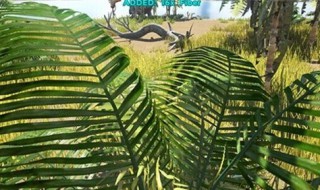 手游方舟怎么驯服动物（方舟生存手机版怎么驯服动物）