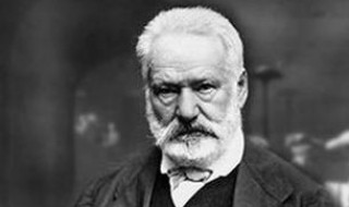 雨果简介(雨果简介资料)