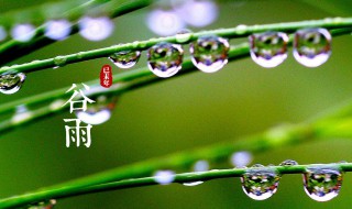 谷雨节气的含义 谷雨节气的含义是什么意思