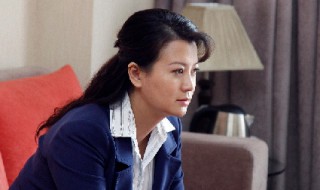 刘铁刚是什么电视剧?（赵铁刚是哪部电视剧）