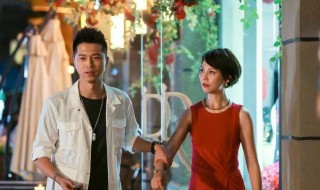 朱莉方舟是什么电视剧(方舟是哪个电视剧主演)