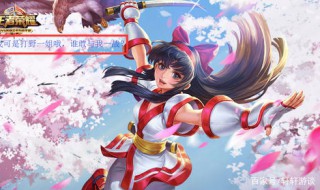 娜可露露带什么召唤师技能 娜可露露带什么召唤师技能好看