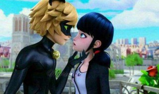 瓢虫雷迪一共有几季（瓢虫雷迪第三季）