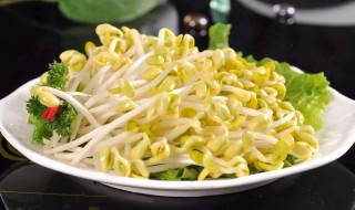 黄豆芽的最佳搭配（黄豆芽的最佳搭配是什么蔬菜）