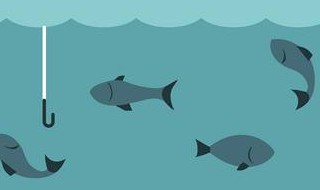 为什么钓鱼不让用血饵（为什么钓鱼不让用血饵呢）