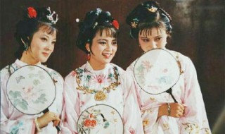 宝琴放的风筝是什么风筝 宝琴放的风筝是什么风筝做的