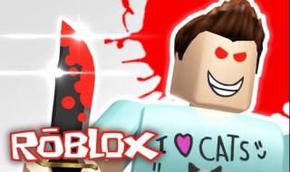 roblox正在验证登录不了（roblox手机版登录不了怎么办）