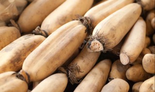 莲藕种植种藕如何催芽（莲藕种植种藕如何催芽呢）