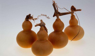 文玩葫芦种植方法（文玩葫芦种植方法图解）