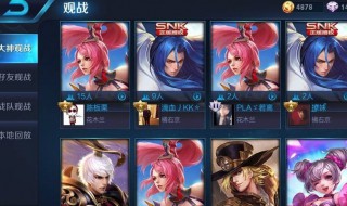 王者荣耀推荐到大神观战什么意思(王者推荐到大神观战啥意思)