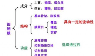 怎么区别选择透过性和流动性 选择透过性和通透性的区别