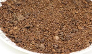 黄豆钓鲤鱼的方法详解（黄豆钓鲤鱼的方法详解图片）