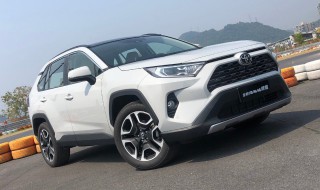 自编车牌要看号段公布吗（当天公布的车牌号段可以自编吗）