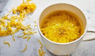 野菊花能直接泡水喝吗（野菊花可以直接泡水喝吗?）