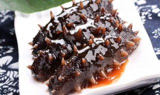 海参怎么吃营养(海参怎么吃营养最好什么时间吃)