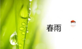 什么的春雨（什么的春雨四字）