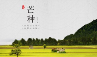 芒种是几月几日（2002年芒种是几月几日）