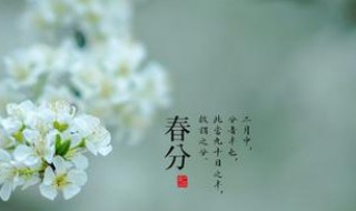 春分节气需要注意什么 春分时节应该注意什么