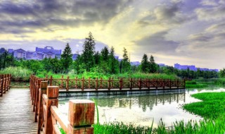 湿地的地貌和气候特点 湿地的地貌和气候特点是什么