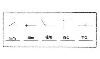 平角的1/2是多少度?是什么角（一平角等于多少平角）