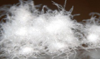 80羽绒90羽绒的区别 80羽绒90羽绒的区别在哪