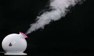 蒸脸器和雾化器一样吗（蒸脸器和雾化器一样吗怎么用）
