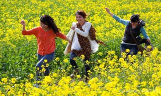 清明节去哪里旅行 清明节去哪里旅行比较好