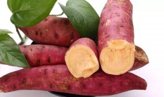 红薯春天吃了好吗?减肥吗? 春天红薯还能吃吗