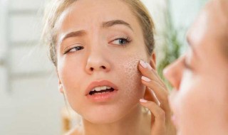 脸太干了怎么补水（秋季脸太干了怎么补水）