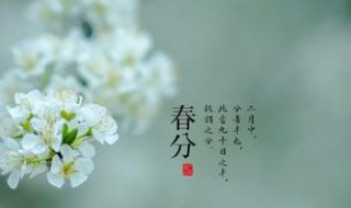 春分是第几个节气(春分下一个节气是什么时候)