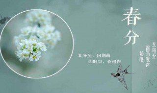 春分的气候特点是什么(春分的气候特点是什么意思)