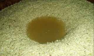 生料液态酒糟能用来喂养家禽吗?（酒糟饲料可以养殖什么）