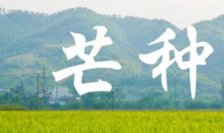 芒种是哪天 2023年芒种是哪天