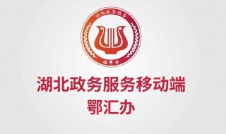 鄂汇办怎么登录（鄂汇办怎么登录不进去）