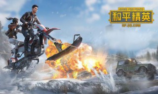 和平精英皮肤有属性加成吗(和平精英皮肤加攻击吗)