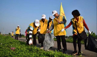捡垃圾的宣传标语 捡垃圾的宣传标语牌